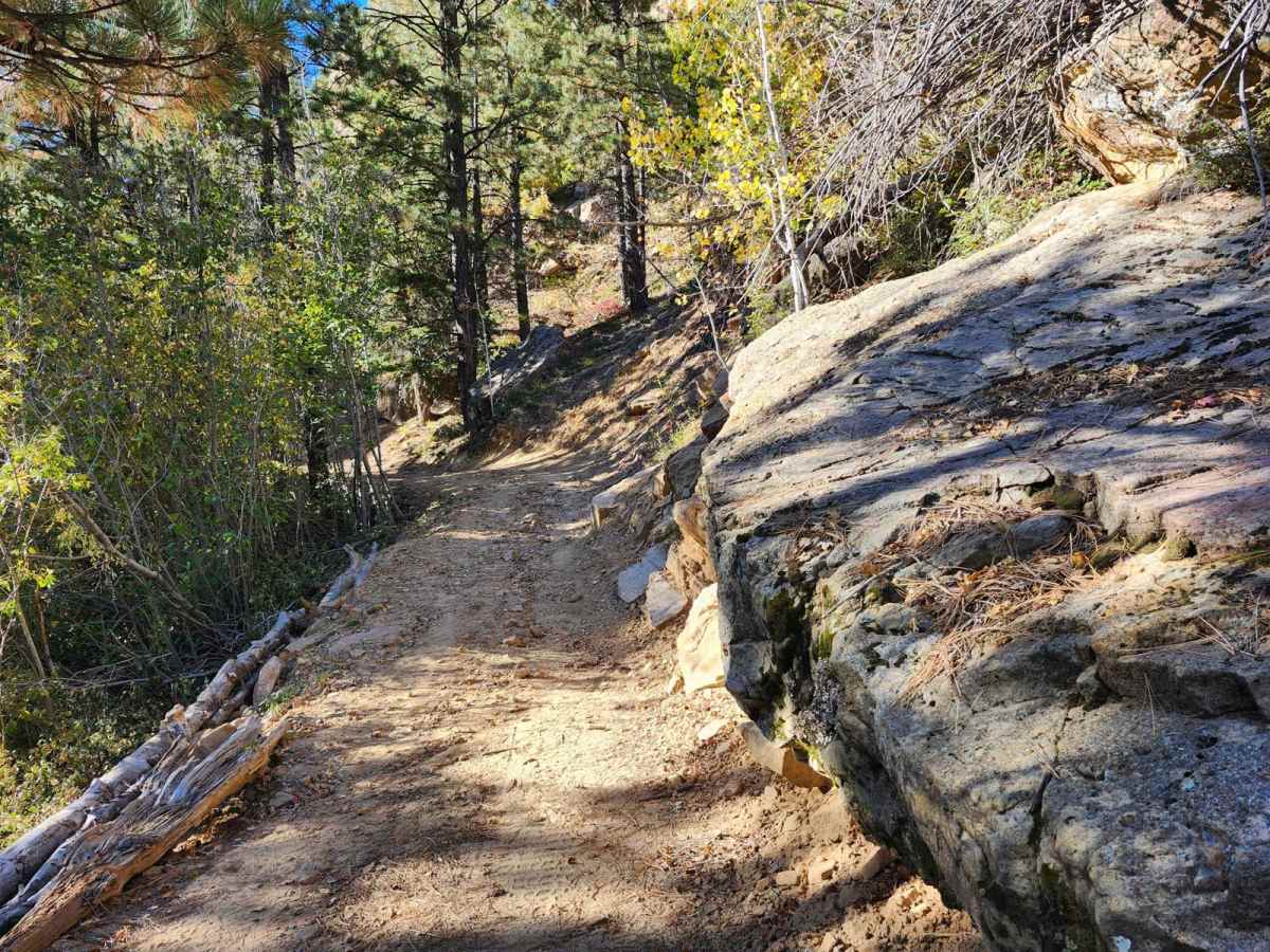 Camp Jackson Trail photo 3