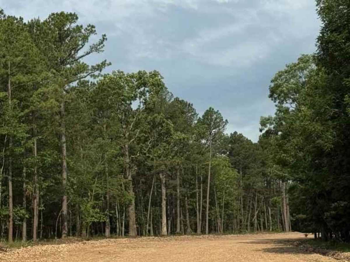 Main Access Road photo 2