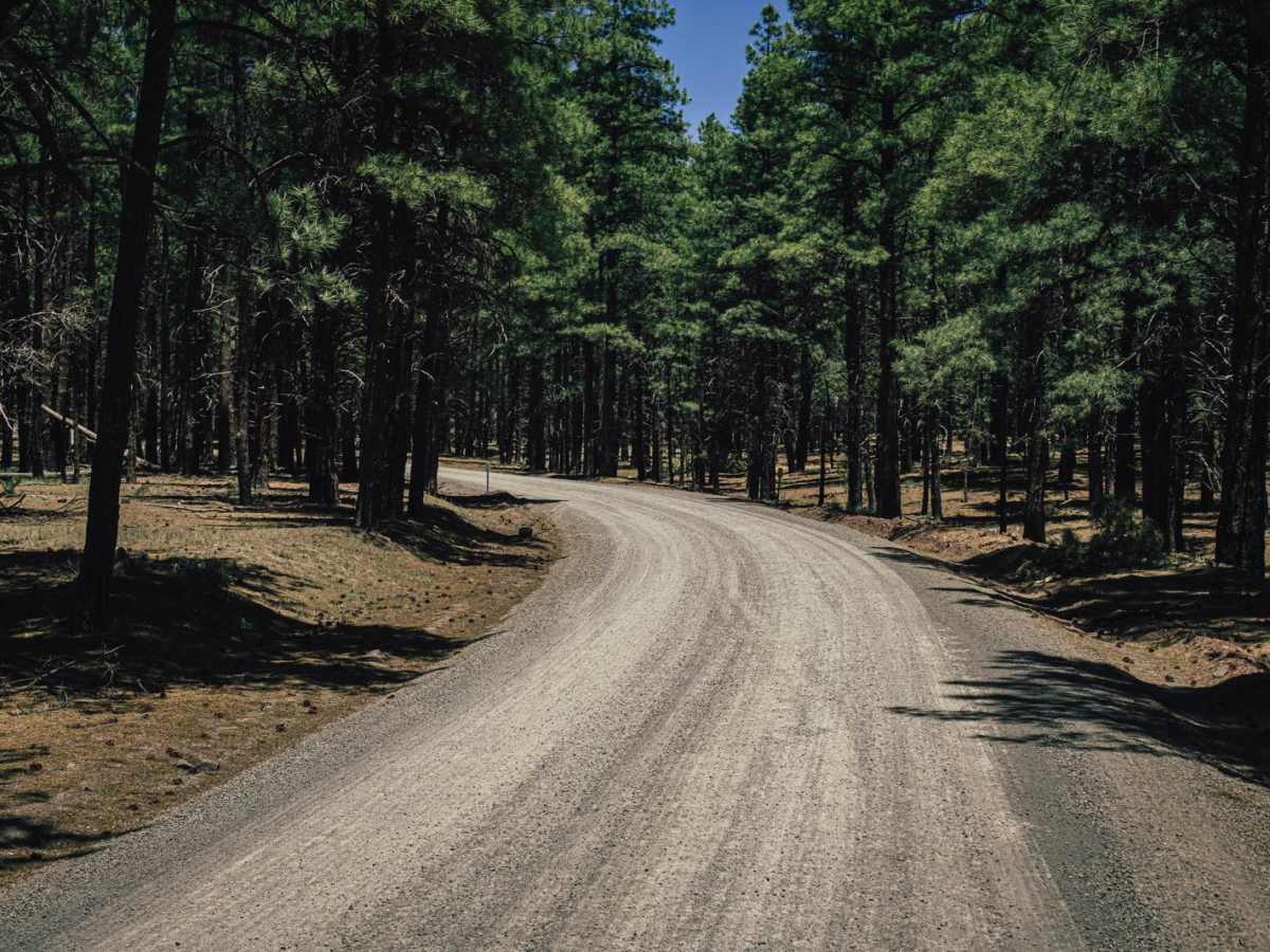 Frenchy Springs Road photo 5