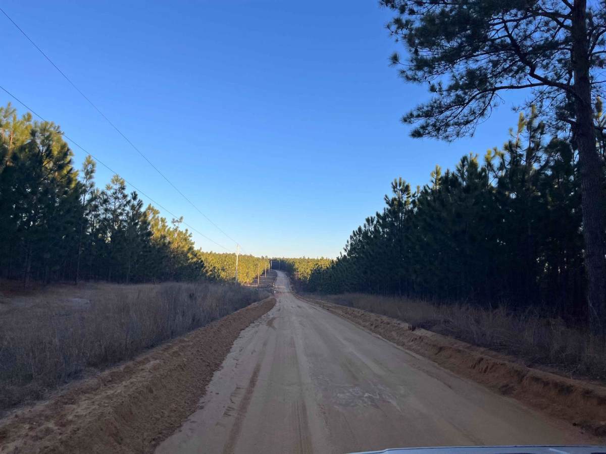 Charles Town Road trail photo