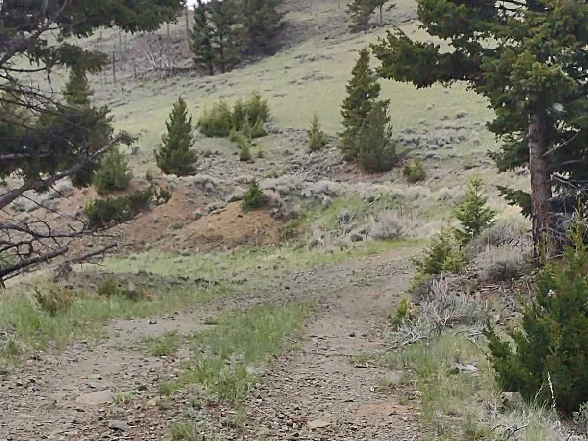 Indian Creek Road Spur 1 photo 3