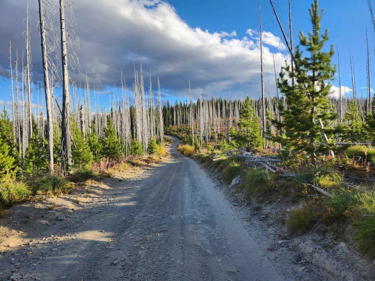 Running Creek - FR357 photo 5