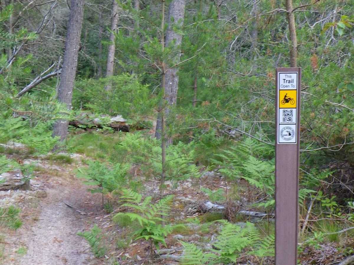 Brevort-Trout Lake Motorcycle Trail East photo 2