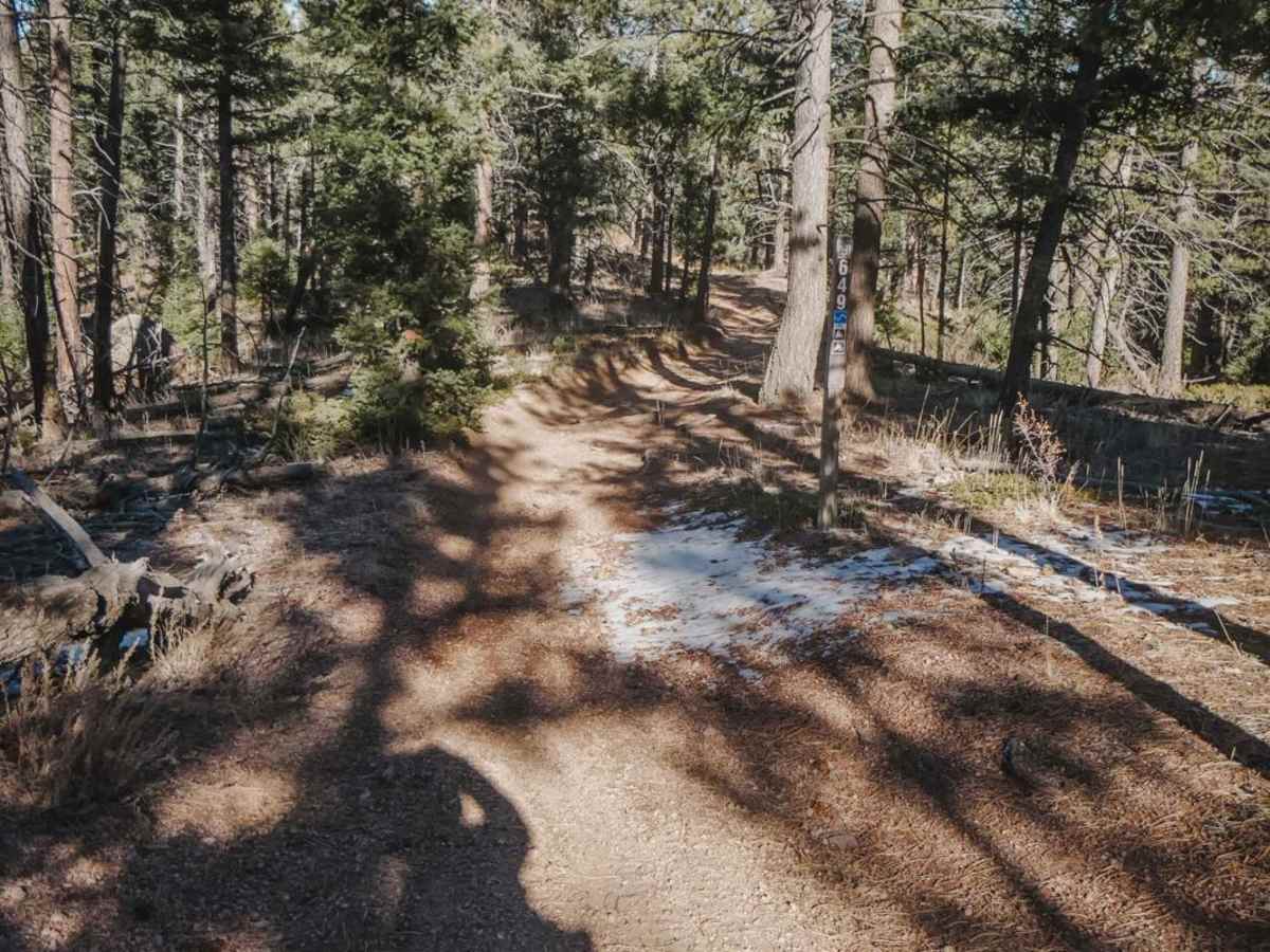 649 Trout Creek ATV Trail photo 5