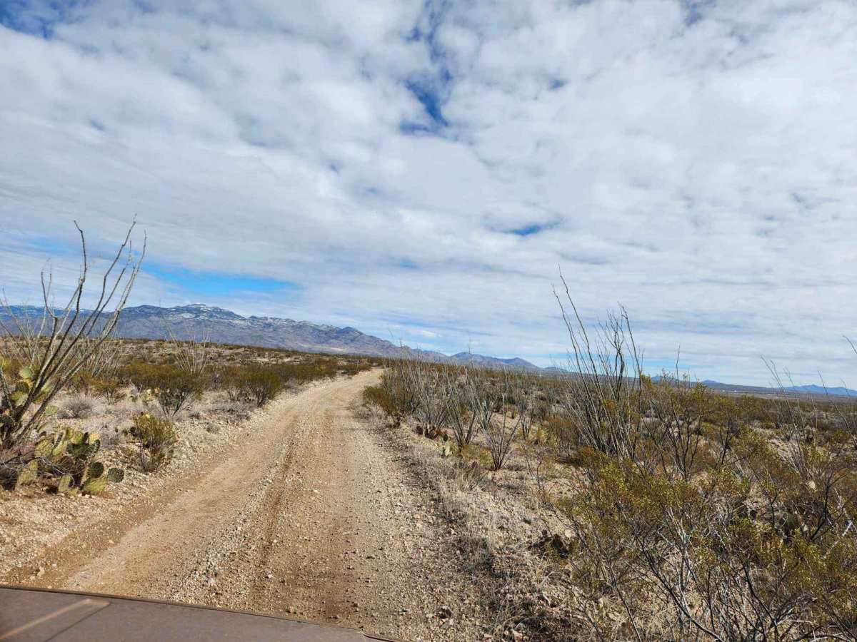 Powerline Road photo 5