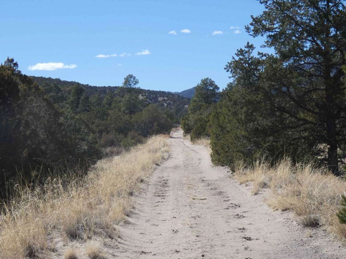 Devils Ridge photo 4