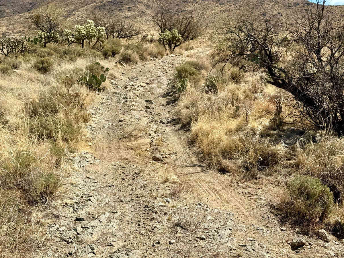M0775 Black Mountain West Loop photo 4