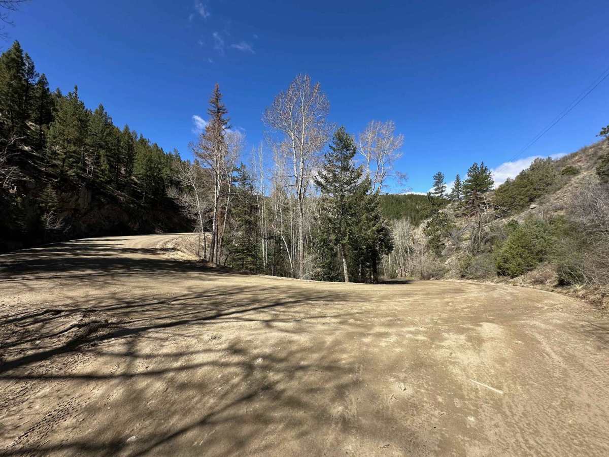 Little Bear Creek Road - FS 151 photo 3