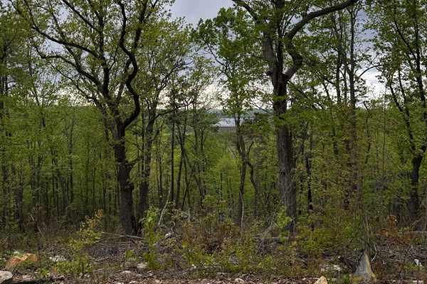 Lake View Trail 69