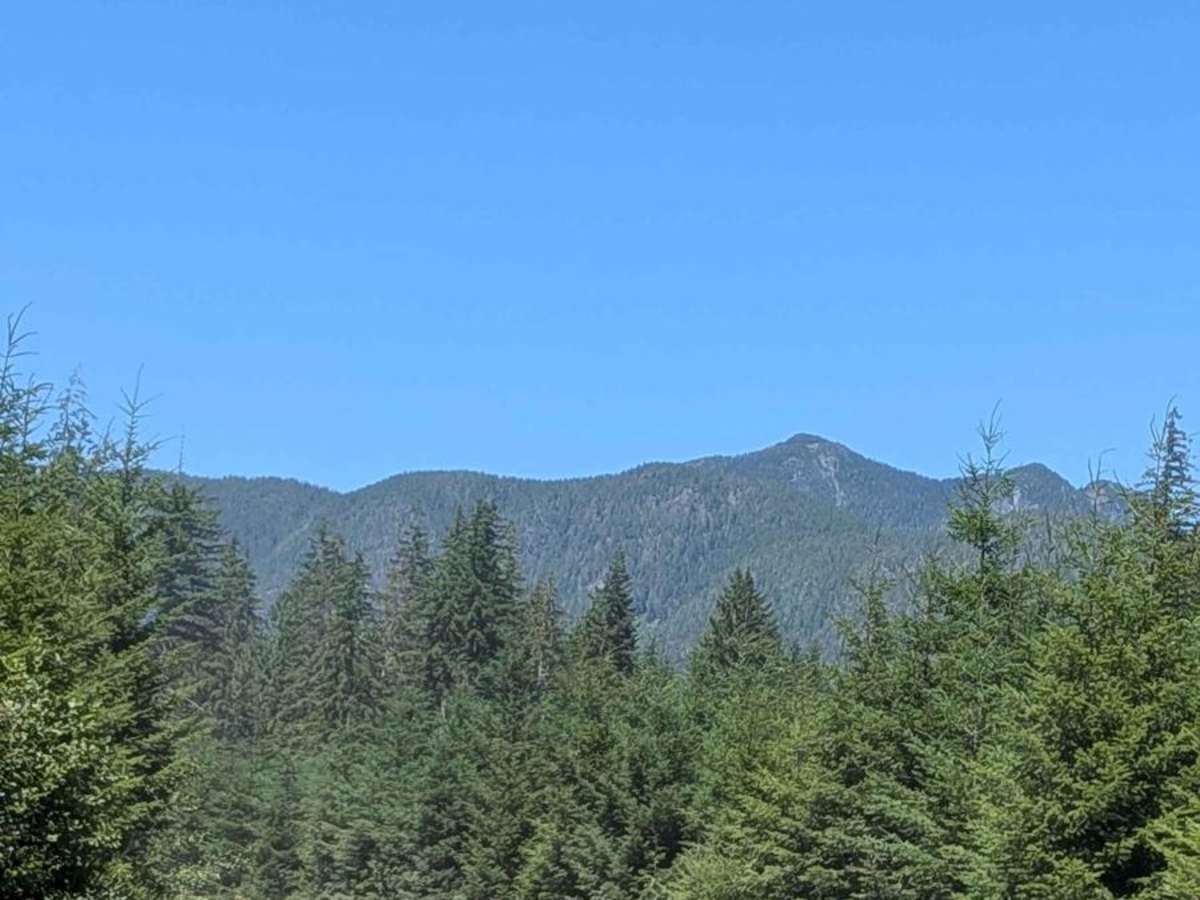 West Woss Road photo 5