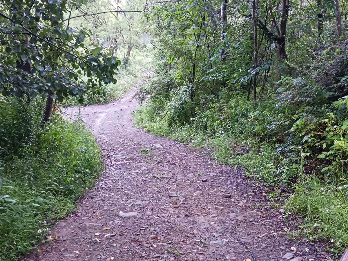 Trail 12J - Rock Run Recreation Area photo 6