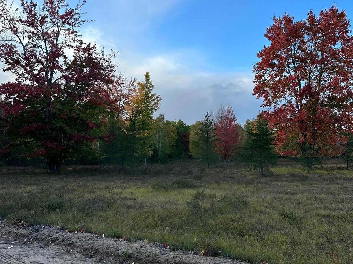 Bog Lake - FS 2686 photo 4