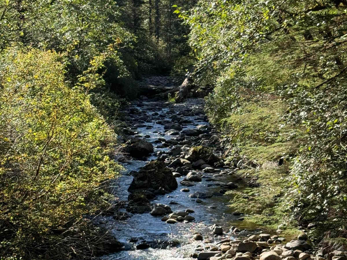 Poison Gulch Run trail photo