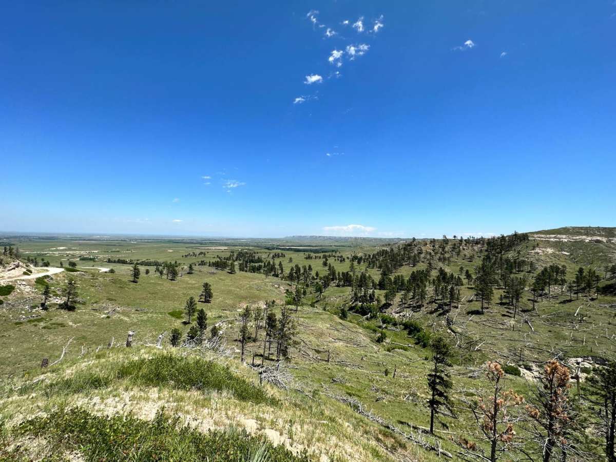 Pants Butte Road photo 4