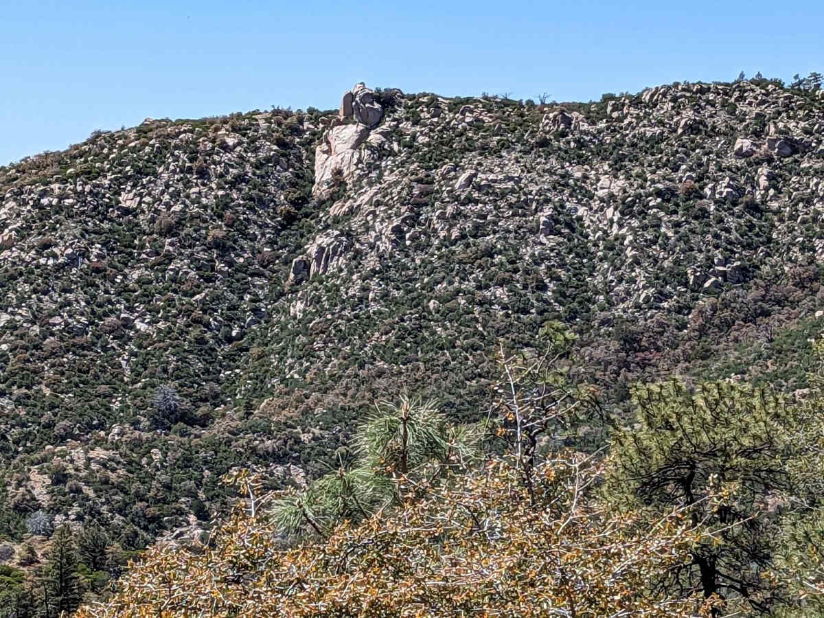 Crown King to Castle Springs - Alternate to "Backway" trail photo
