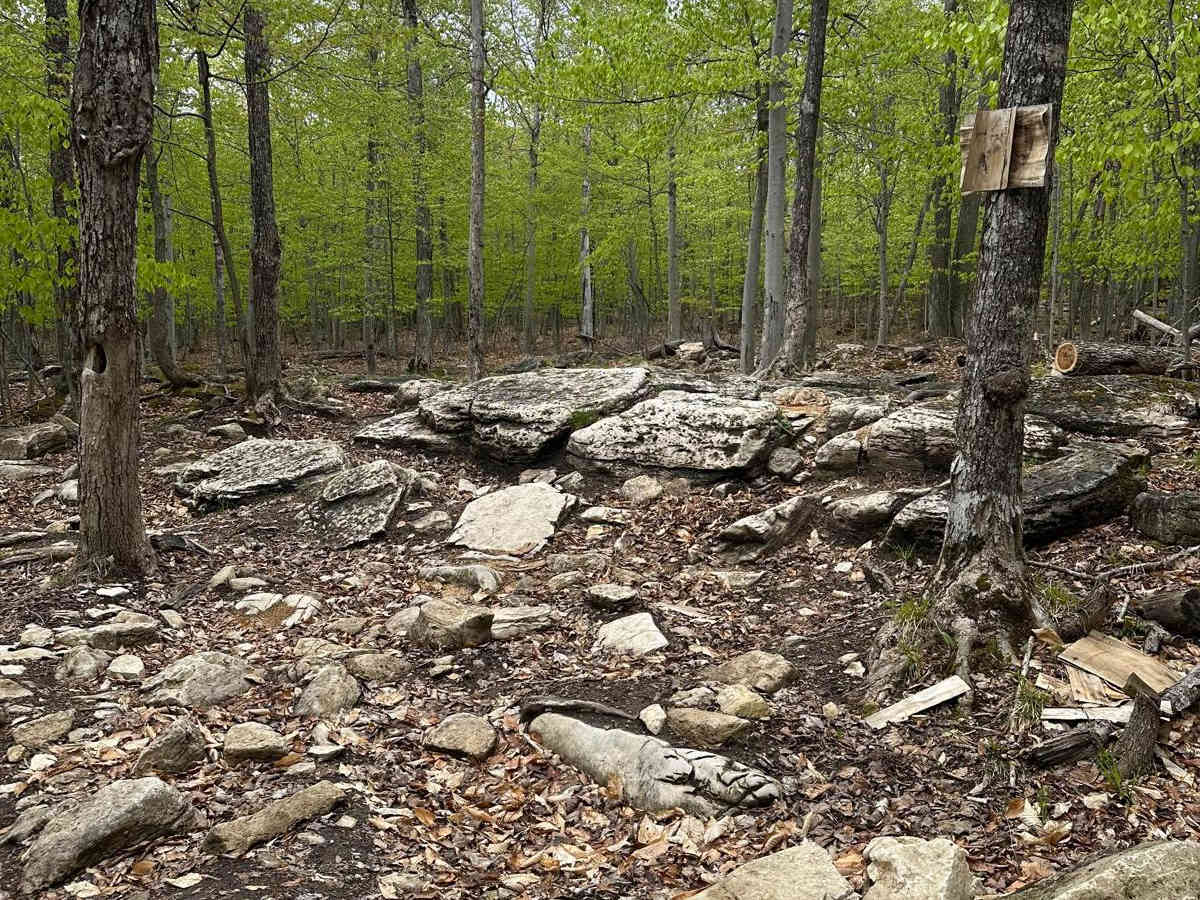 Quarry A photo 5