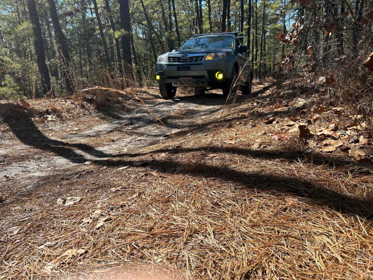 Tulpehocken Creek Trail photo 4