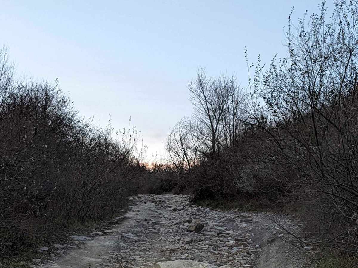 62 photo 2