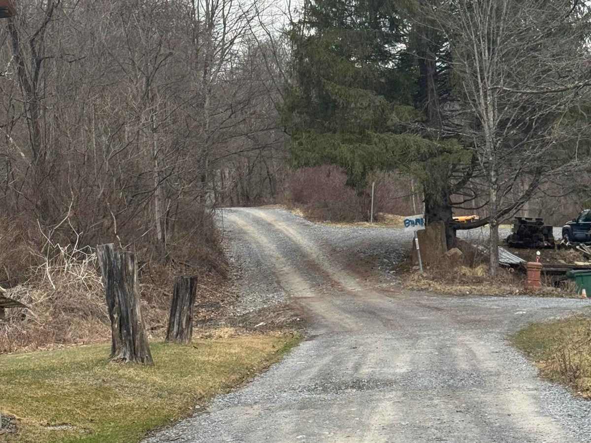 Kato Orviston Road trail photo