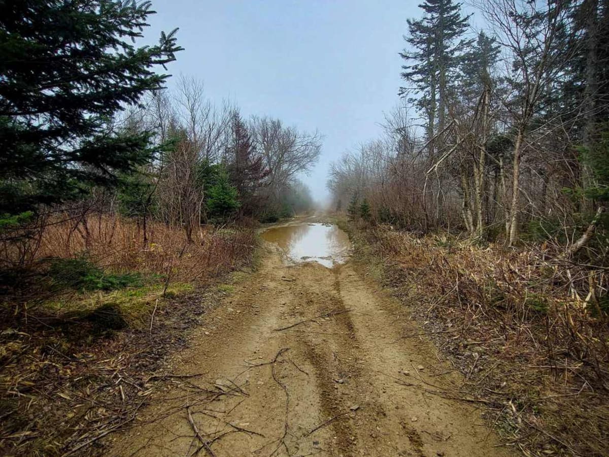 Crooked Creek Trail photo 2