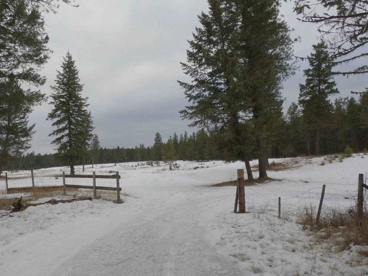 Horseshoe Lake, Loop photo 5