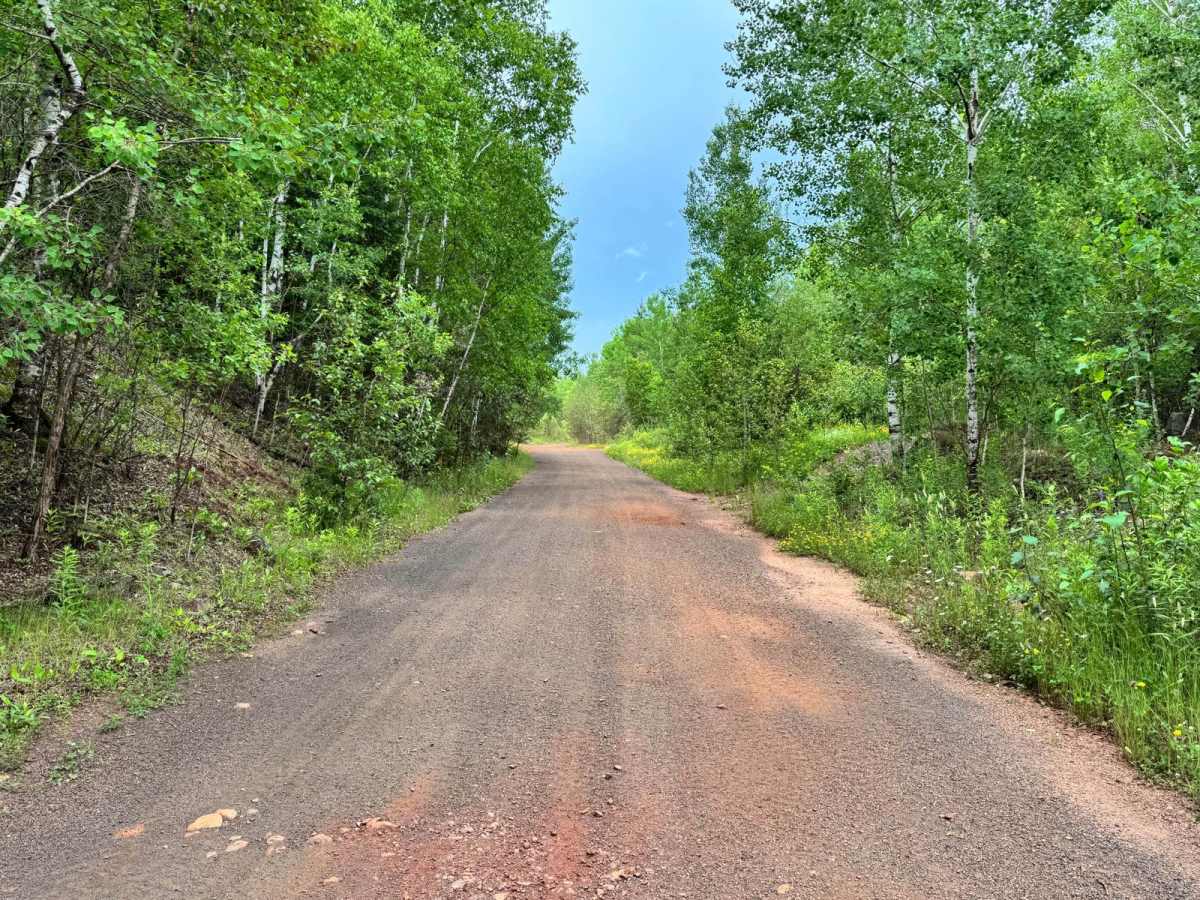 Petit Road photo 4