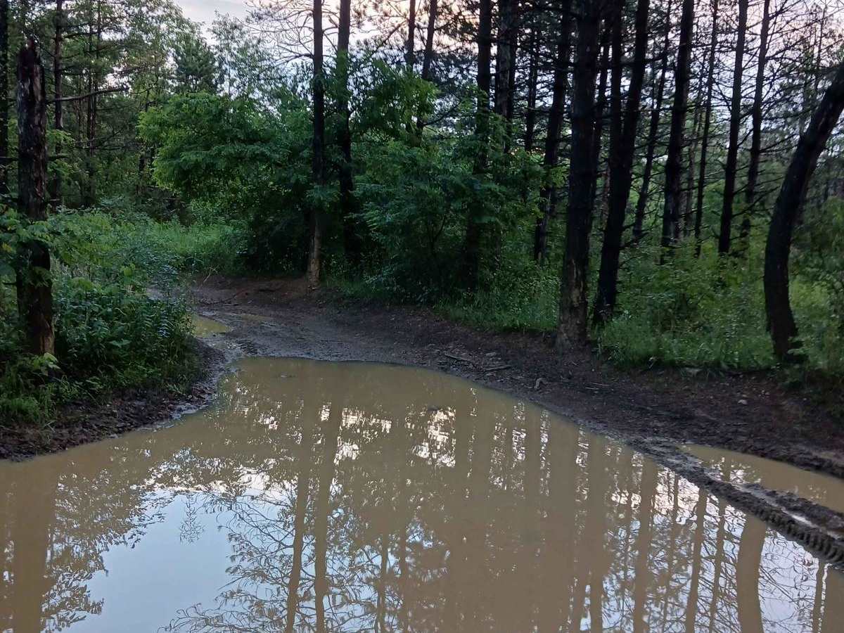 Trail 12L - Rock Run Recreation Area photo 3