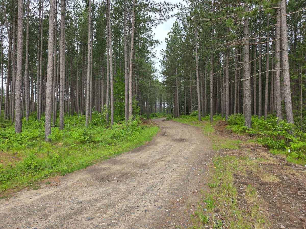 Fire Trail - SFR 1428 photo 3