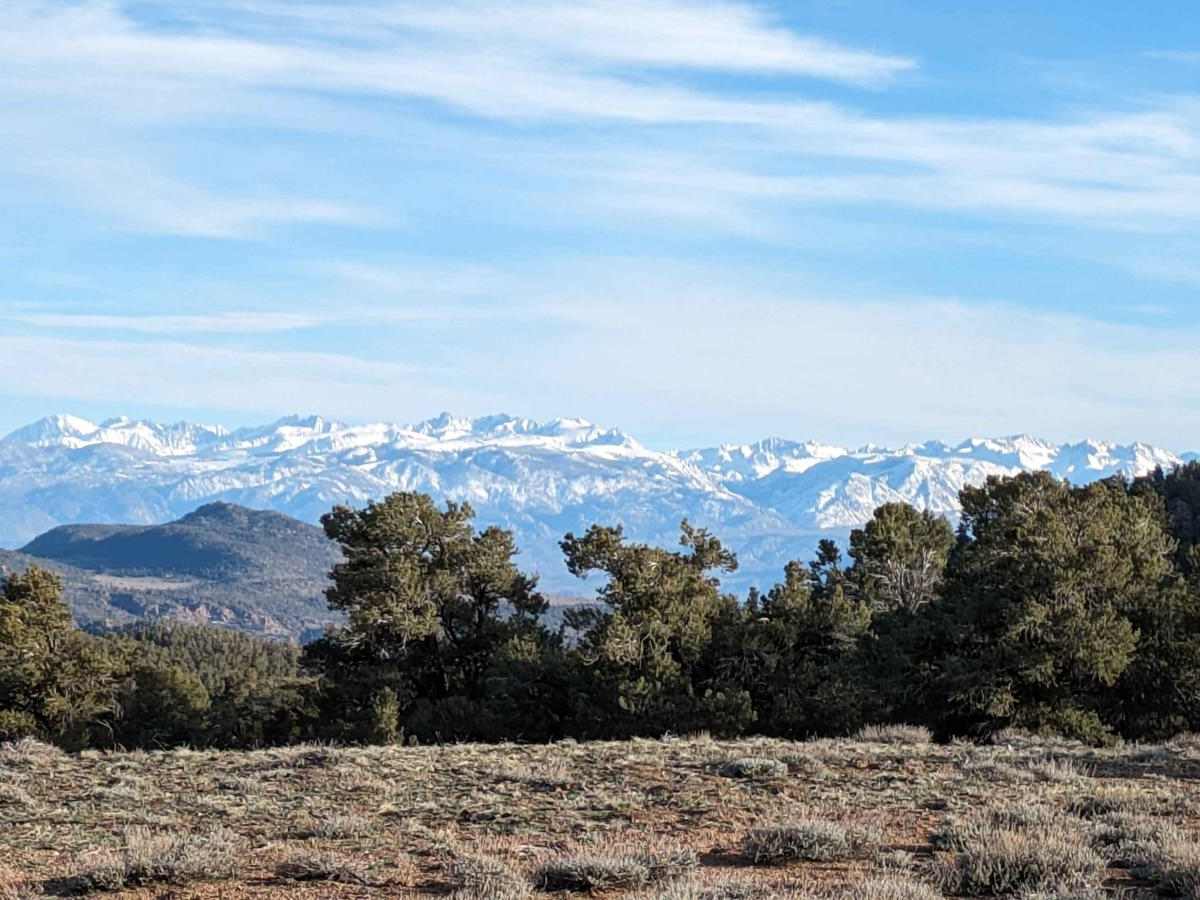 Inyo National FS3S15 trail photo