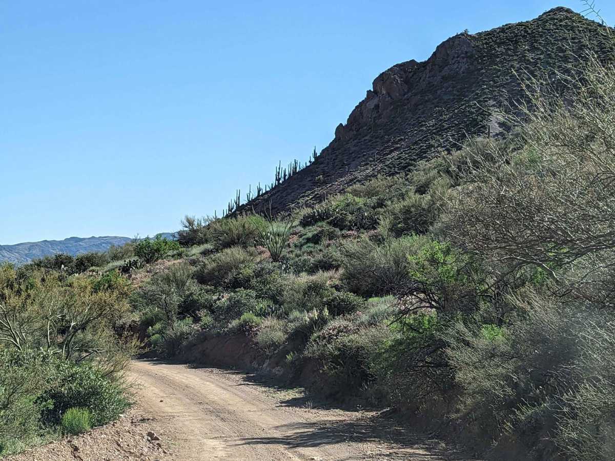 Crown King to Castle Springs - Alternate to "Backway" photo 6