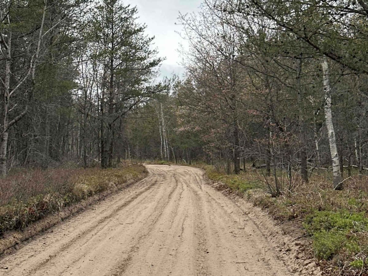 H9 Grass Lake to FS 4194 photo 6