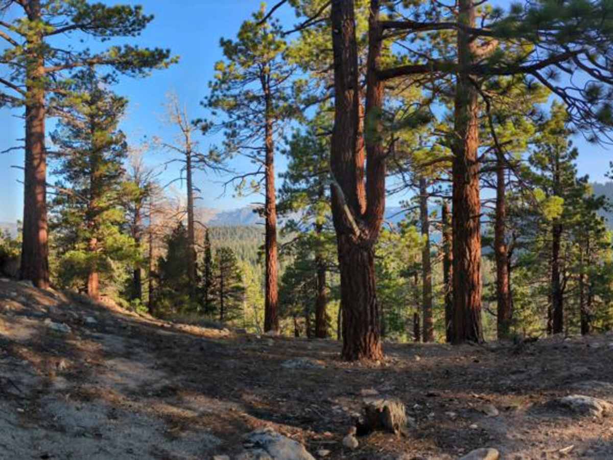 Dry Creek Knoll photo 4