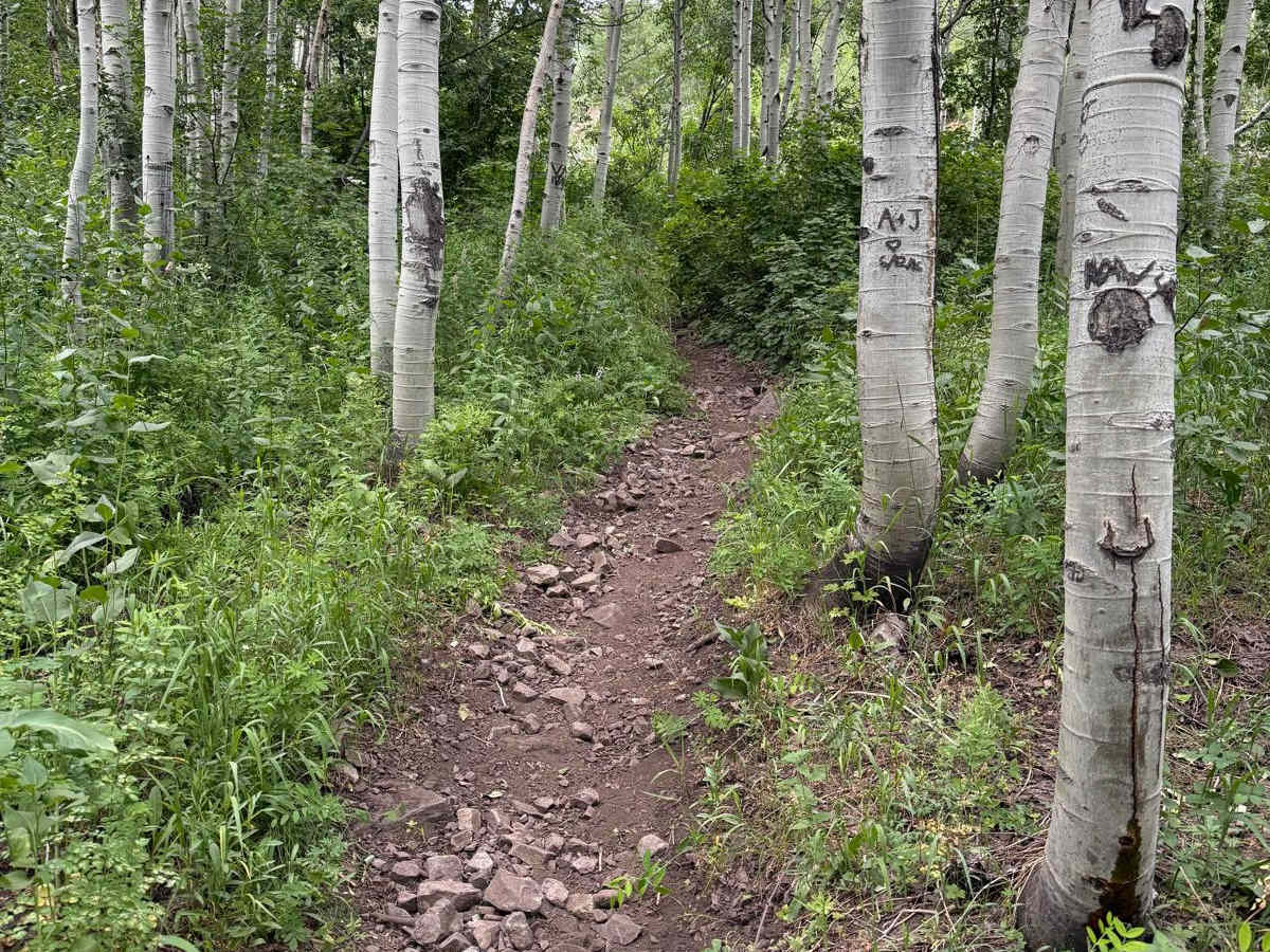 Rock Canyon - Dry Fork photo 3
