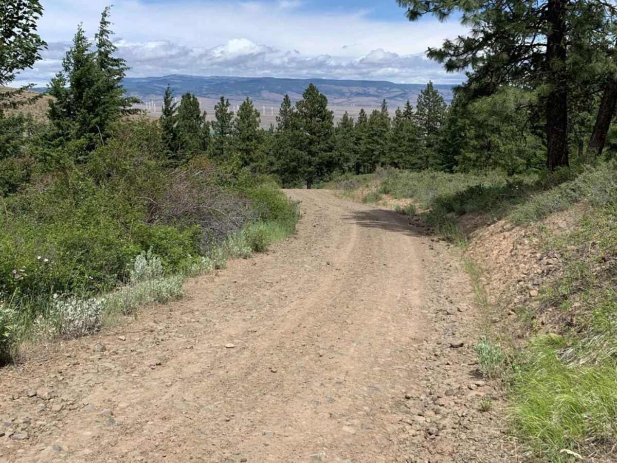 Tamarack Ridge Road photo 2