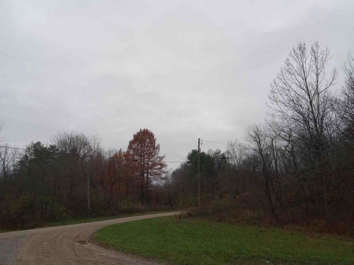 Land between the ponds photo 5