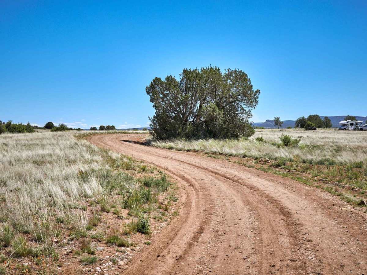 FR 35 trail photo