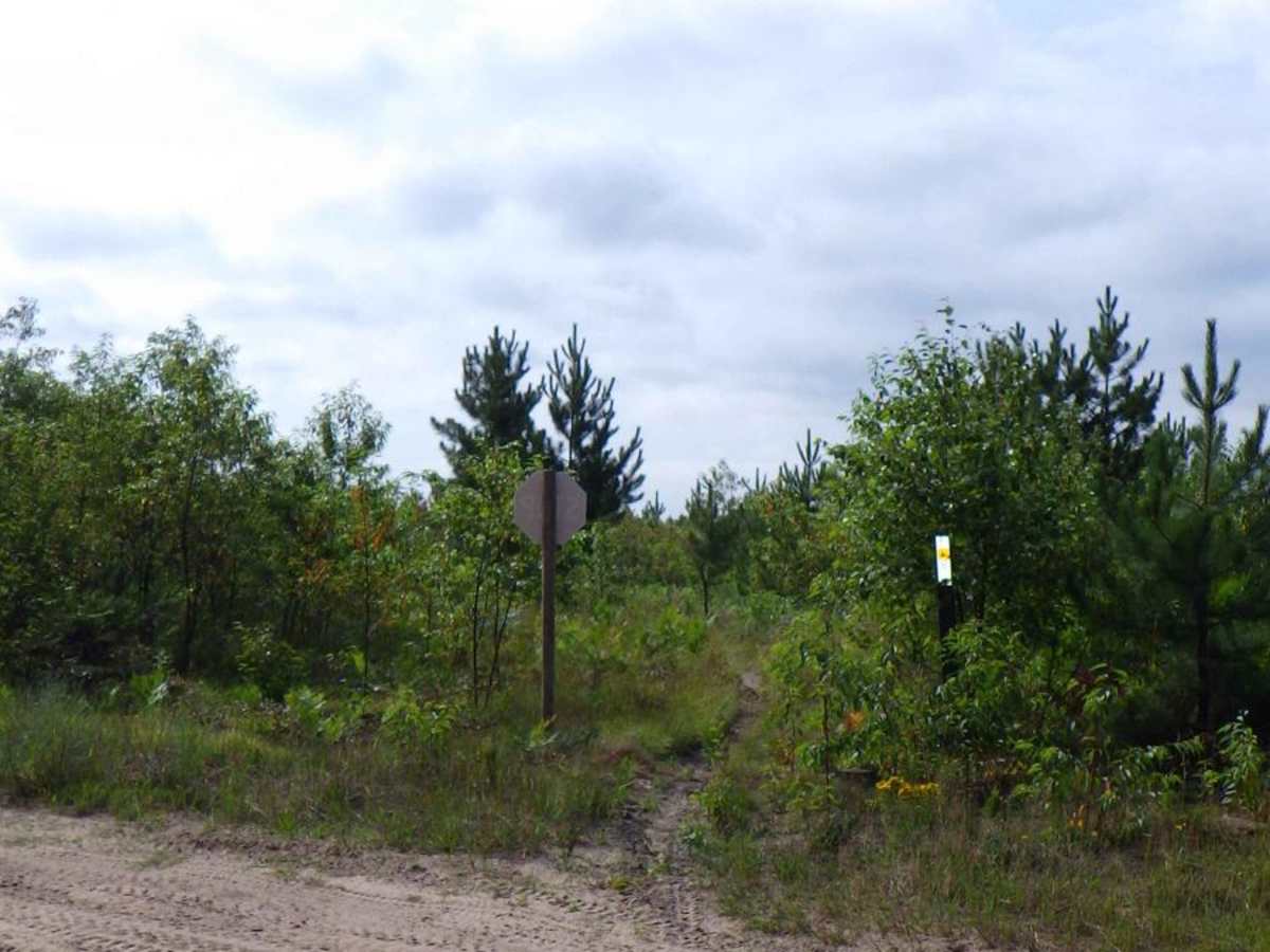 Brevort-Trout Lake Motorcycle Trail East photo 5