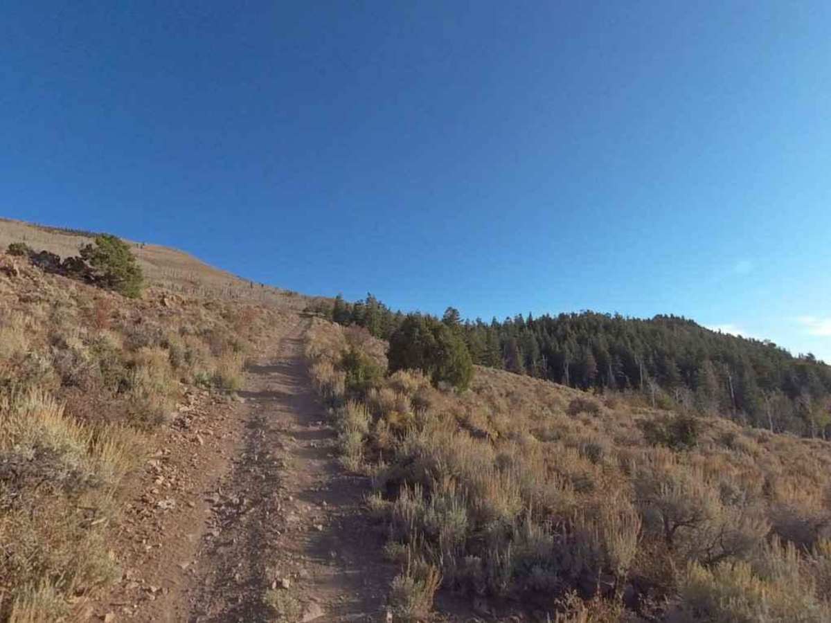 Forshea Mountain South photo 3
