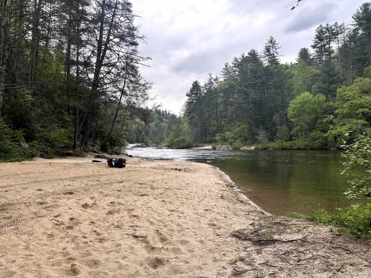 Sandy Ford photo 5