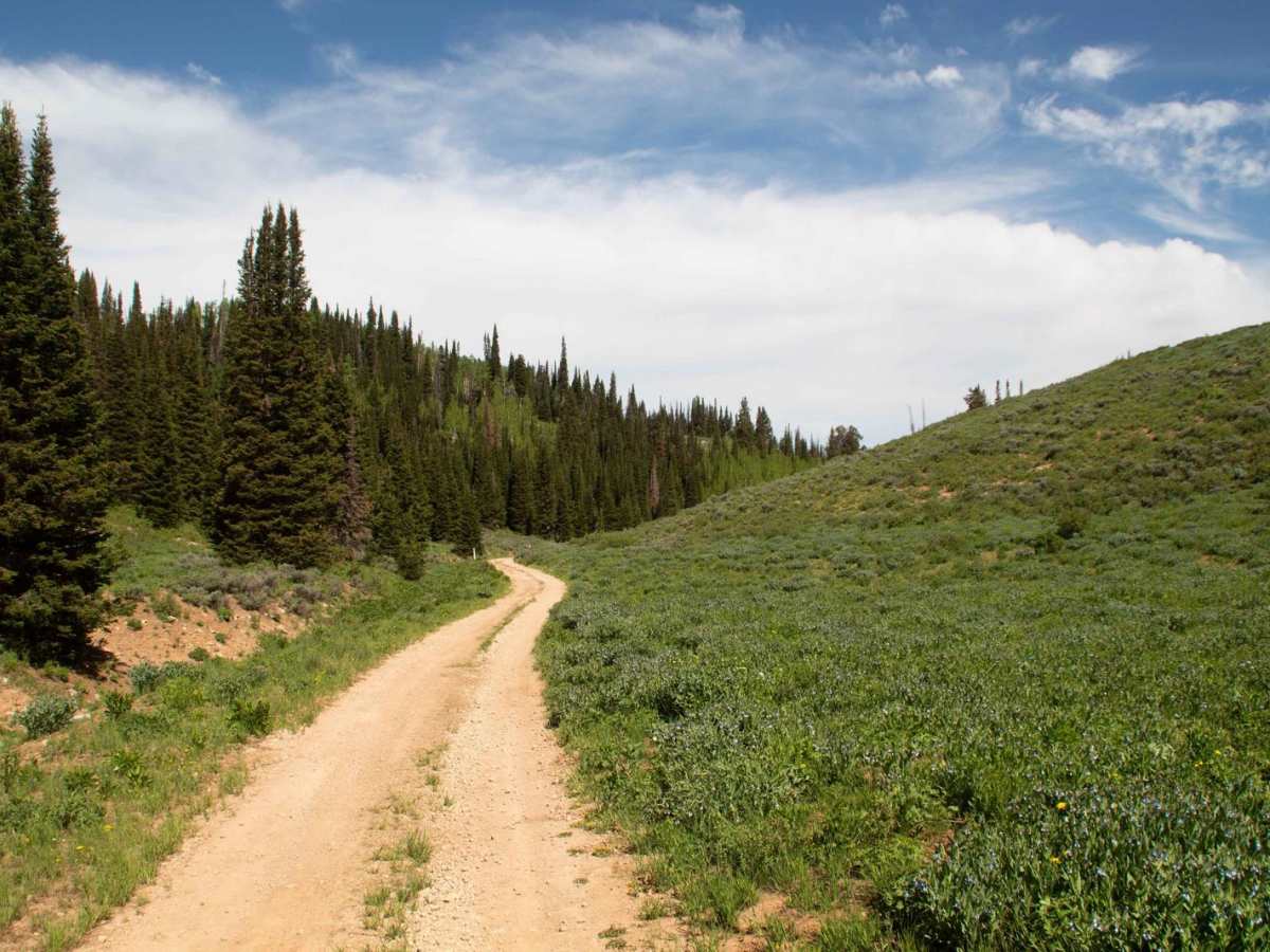 Davenport Hollow Road trail photo