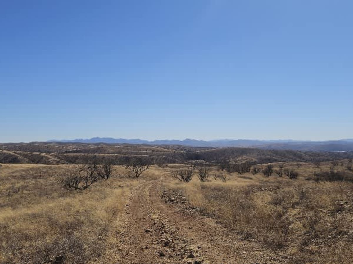 Grande Forest Road photo 3
