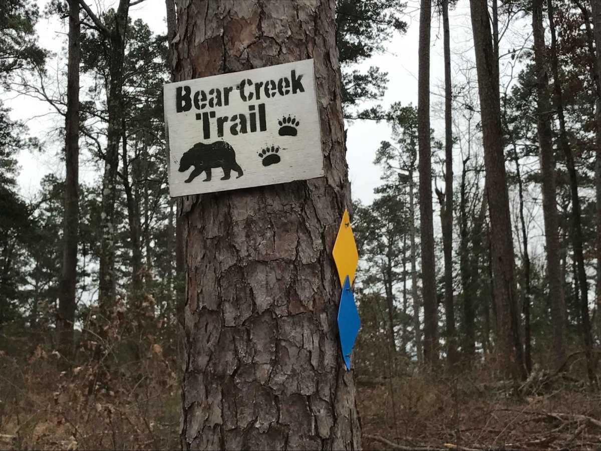 Bear Creek Trail trail photo