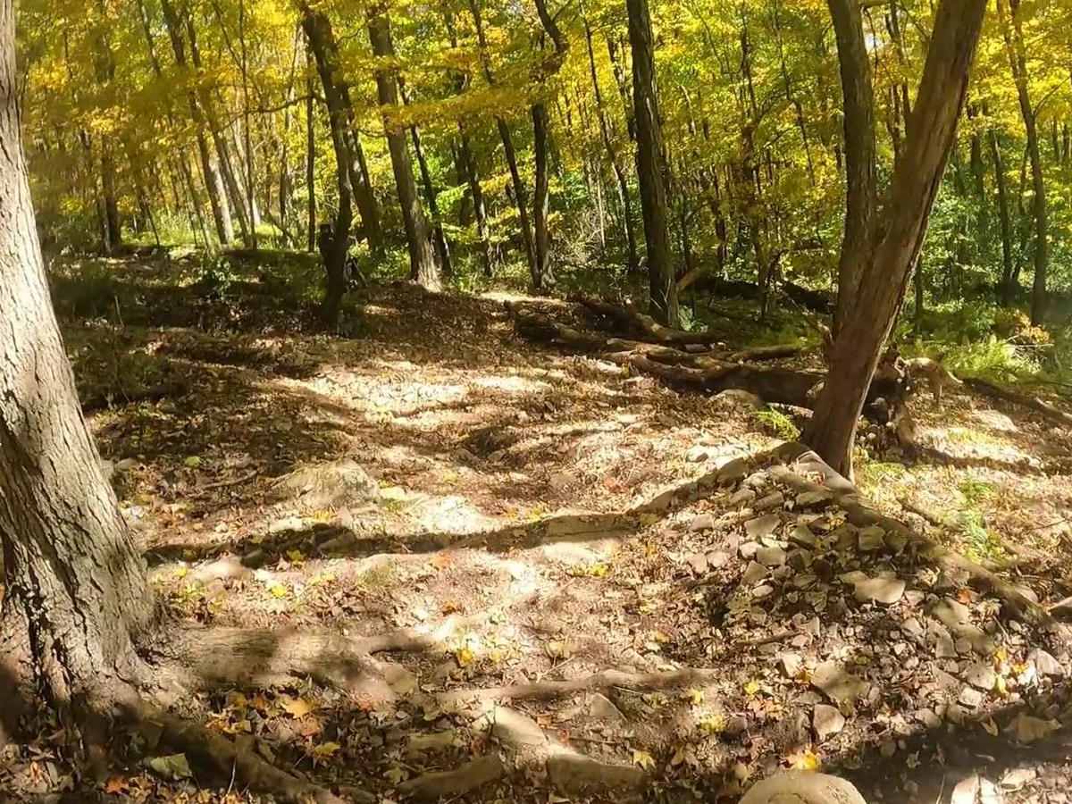 Mountain Ridge ATV Park Singletrack CE photo 6