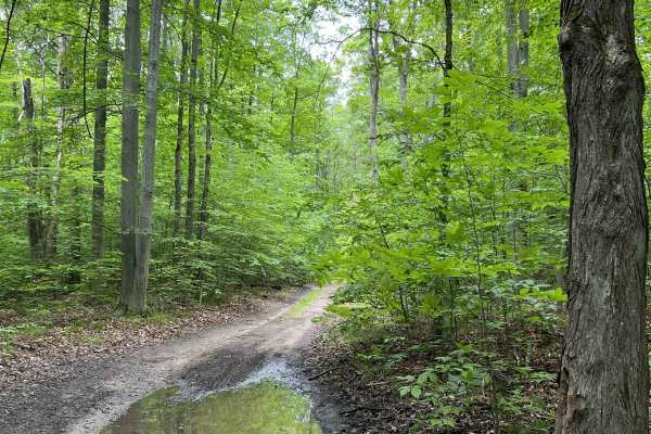 CR 489 to Avery Lake