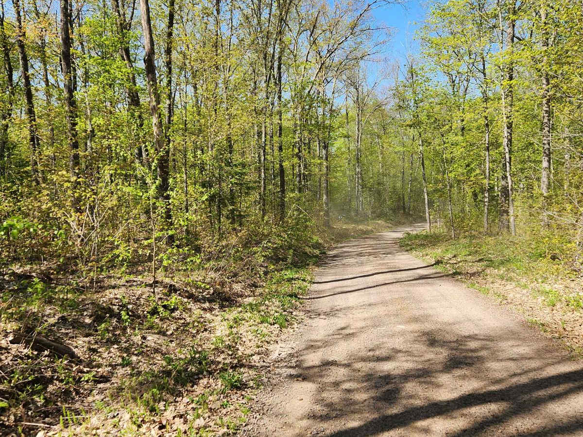 Trail 8 photo 2