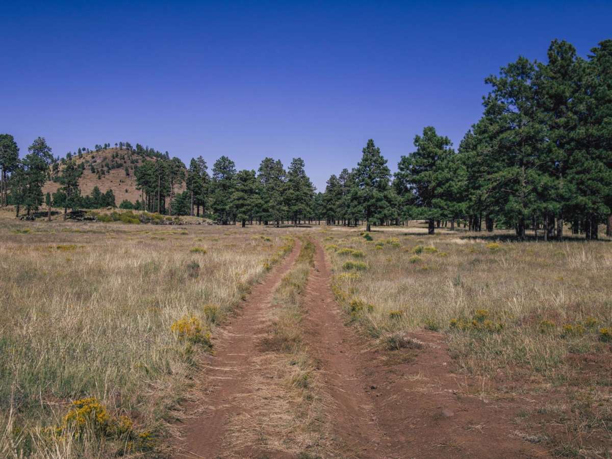 White Horse Traverse trail photo