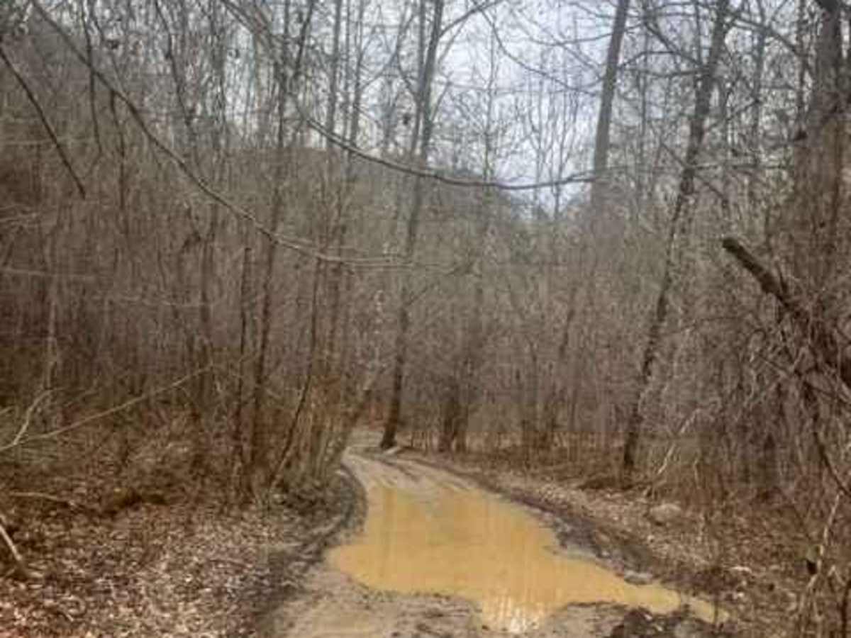Coalmont OHV Trail 1 Blue photo 4