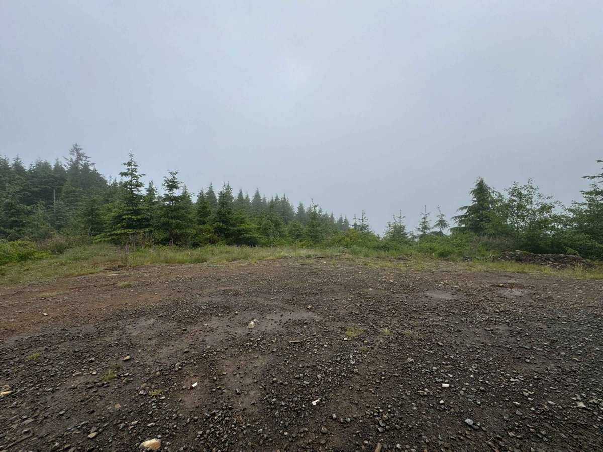Radar Mainline photo 3
