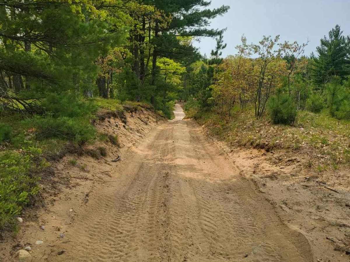 Ogemaw Hills ORV Route photo 5