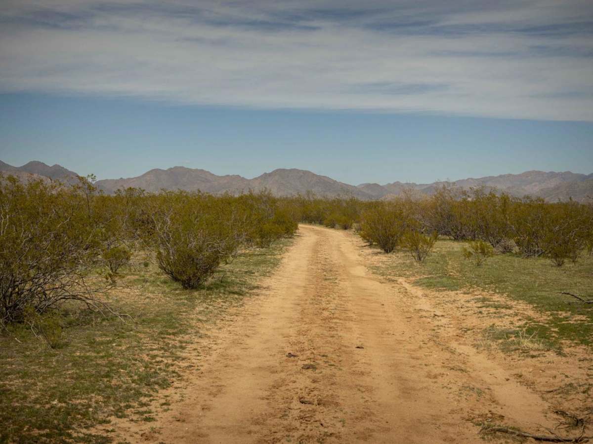 Nelson's Cutoff photo 5